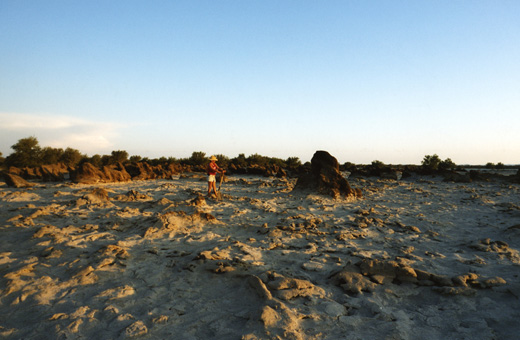 workers_sand